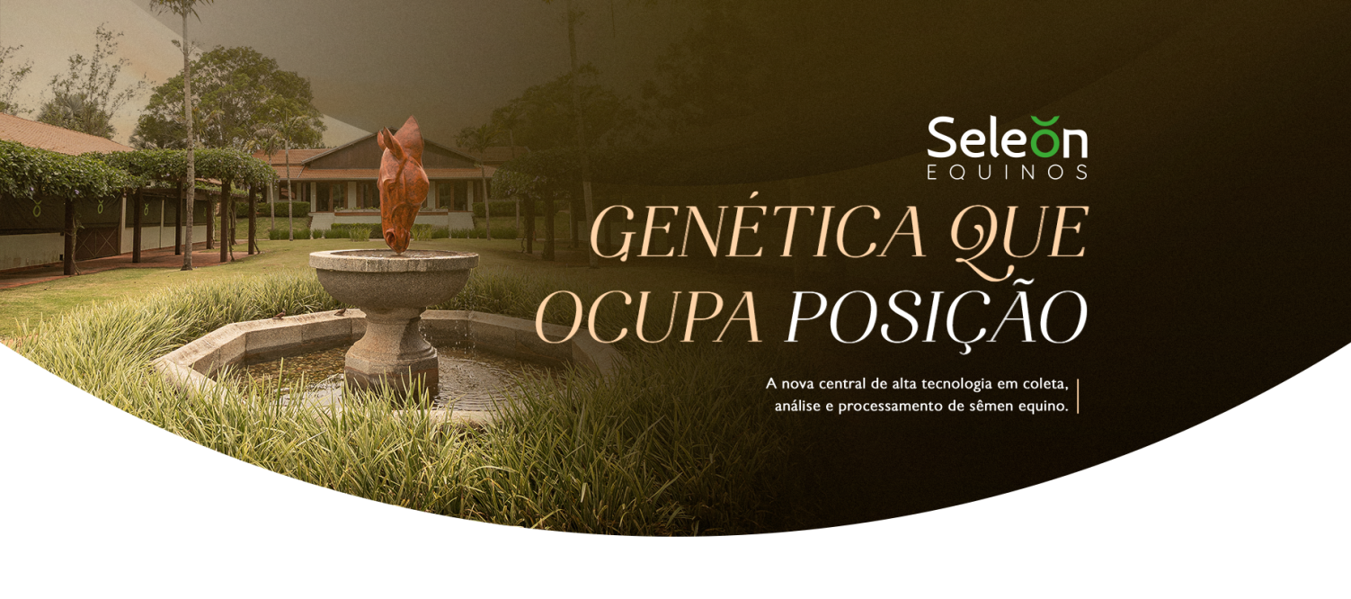 Genética que ocupa posição